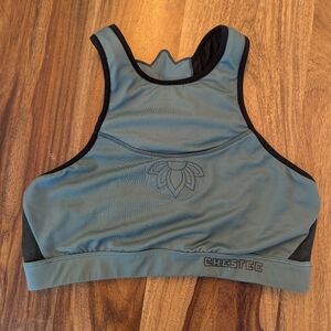 The Chestee sports bra